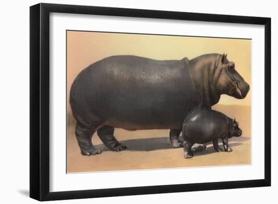 Mother and Baby Hippo-null-Framed Art Print