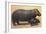 Mother and Baby Hippo-null-Framed Art Print