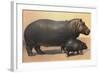 Mother and Baby Hippo-null-Framed Art Print