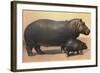 Mother and Baby Hippo-null-Framed Art Print