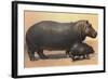 Mother and Baby Hippo-null-Framed Art Print