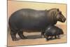 Mother and Baby Hippo-null-Mounted Art Print