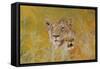 Mother and Baby I (Lions) 1995-Odile Kidd-Framed Stretched Canvas