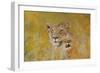 Mother and Baby I (Lions) 1995-Odile Kidd-Framed Giclee Print