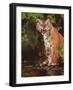 Mother and Baby II (Tigers) 1997-Odile Kidd-Framed Giclee Print