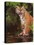 Mother and Baby II (Tigers) 1997-Odile Kidd-Stretched Canvas