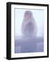 Mother and Baby Monkeys at Jigokudani Hot Spring, Nagano, Japan-null-Framed Photographic Print