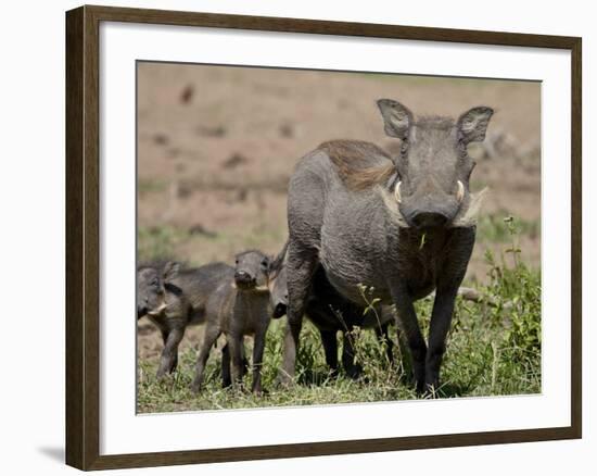 Mother and Baby Warthog, Masai Mara National Reserve-James Hager-Framed Photographic Print