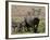 Mother and Baby Warthog, Masai Mara National Reserve-James Hager-Framed Photographic Print