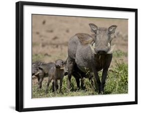 Mother and Baby Warthog, Masai Mara National Reserve-James Hager-Framed Photographic Print