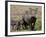 Mother and Baby Warthog, Masai Mara National Reserve-James Hager-Framed Photographic Print