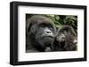 Mother and Baby-null-Framed Art Print