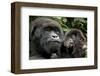 Mother and Baby-null-Framed Art Print