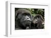 Mother and Baby-null-Framed Art Print