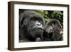 Mother and Baby-null-Framed Art Print