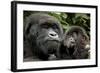 Mother and Baby-null-Framed Art Print