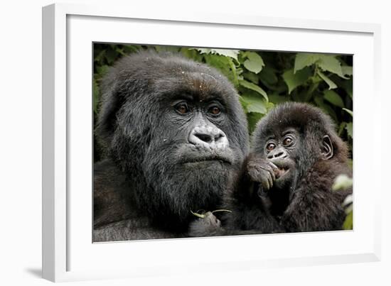 Mother and Baby-null-Framed Art Print