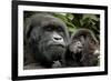 Mother and Baby-null-Framed Art Print