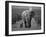 Mother and Calf, African Elephant (Loxodonta Africana), Addo National Park, South Africa, Africa-Ann & Steve Toon-Framed Photographic Print