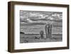 Mother and calf Amboseli elephants, Amboseli National Park, Africa-John Wilson-Framed Photographic Print