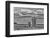 Mother and calf Amboseli elephants, Amboseli National Park, Africa-John Wilson-Framed Photographic Print