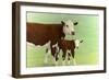 Mother and Child Cows-James W. Johnson-Framed Giclee Print