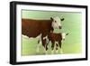 Mother and Child Cows-James W. Johnson-Framed Giclee Print