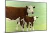 Mother and Child Cows-James W. Johnson-Mounted Giclee Print