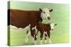 Mother and Child Cows-James W. Johnson-Stretched Canvas