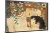 Mother and Child (detail from The Three Ages of Woman), c.1905-Gustav Klimt-Mounted Art Print