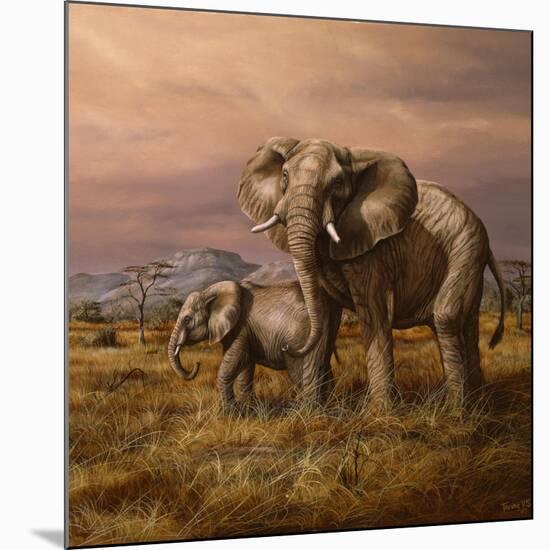 Mother and Child (Elephants)-Trevor V. Swanson-Mounted Giclee Print