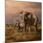 Mother and Child (Elephants)-Trevor V. Swanson-Mounted Giclee Print