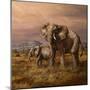 Mother and Child (Elephants)-Trevor V. Swanson-Mounted Premium Giclee Print