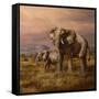 Mother and Child (Elephants)-Trevor V. Swanson-Framed Stretched Canvas