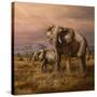 Mother and Child (Elephants)-Trevor V. Swanson-Stretched Canvas