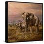 Mother and Child (Elephants)-Trevor V. Swanson-Framed Stretched Canvas