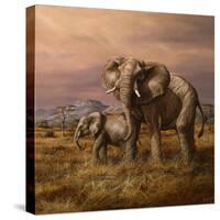 Mother and Child (Elephants)-Trevor V. Swanson-Stretched Canvas