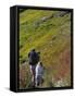 Mother and Child Hiking-null-Framed Stretched Canvas