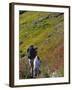 Mother and Child Hiking-null-Framed Photographic Print