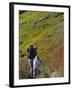 Mother and Child Hiking-null-Framed Photographic Print