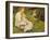 Mother and Child in a Wooded Landscape, 1913-Harold Harvey-Framed Giclee Print