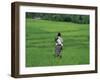 Mother and Child in the Rice Terraces of Ruteng, Flores, Indonesia, Southeast Asia-Robert Francis-Framed Photographic Print