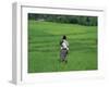 Mother and Child in the Rice Terraces of Ruteng, Flores, Indonesia, Southeast Asia-Robert Francis-Framed Photographic Print