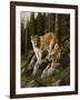 Mother and Child (Mt. Lions)-Trevor V. Swanson-Framed Giclee Print