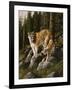 Mother and Child (Mt. Lions)-Trevor V. Swanson-Framed Giclee Print