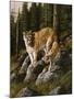 Mother and Child (Mt. Lions)-Trevor V. Swanson-Mounted Giclee Print