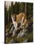 Mother and Child (Mt. Lions)-Trevor V. Swanson-Stretched Canvas