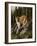 Mother and Child (Mt. Lions)-Trevor V. Swanson-Framed Giclee Print