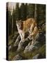 Mother and Child (Mt. Lions)-Trevor V. Swanson-Stretched Canvas