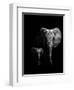 Mother and Child-null-Framed Photographic Print